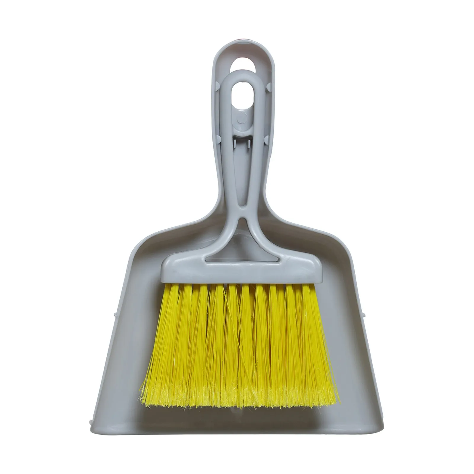 APEX Mini Dustpan with Brush
