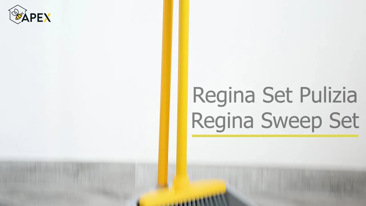 APEX Upright Dustpan and Broom Set video